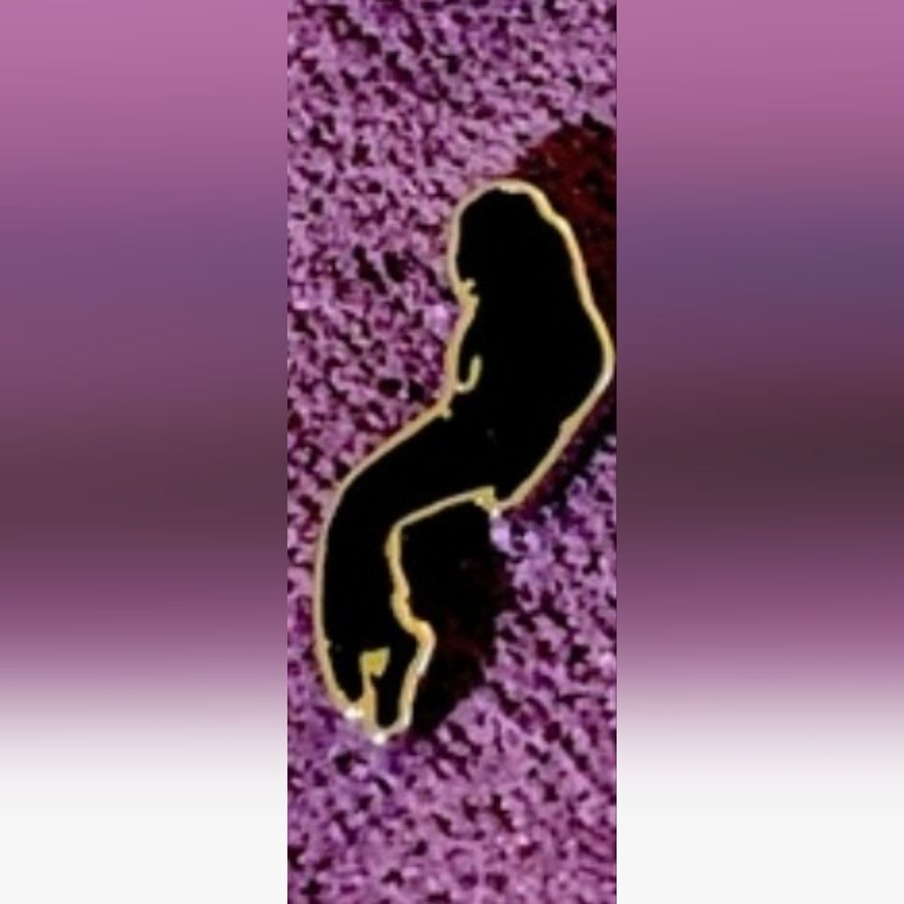Micheal Jackson Silhouette On Pointe Charm with Silver outline